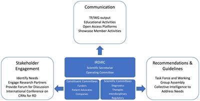 Fostering the international interoperability of clinical research networks to tackle undiagnosed and under-researched rare diseases